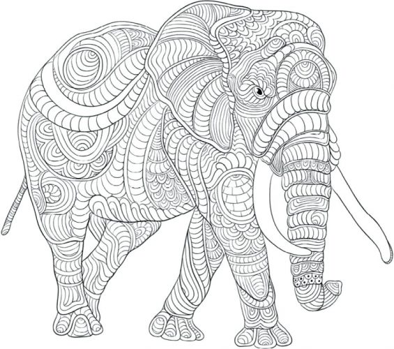 Coloring Pages ~ Elephant Coloring Page Difficult Pages For Grown 565x500 Coloring Pages ~ Elephant Coloring Page Difficult Pages For Grown