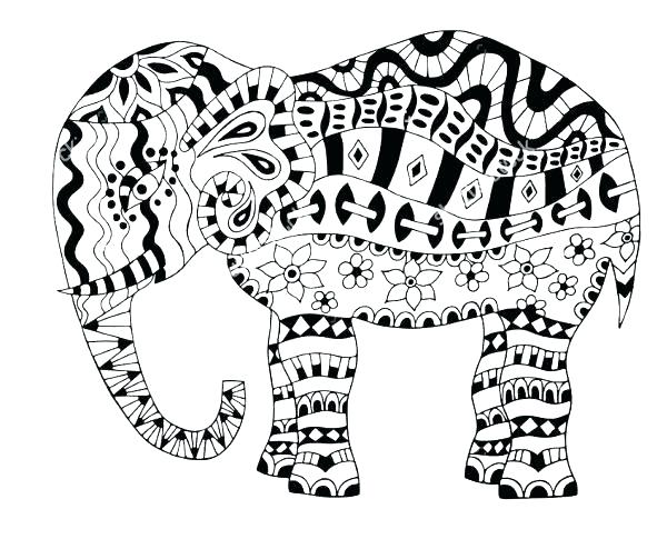 Elephant Picture To Color 600x485 Elephant Picture To Color