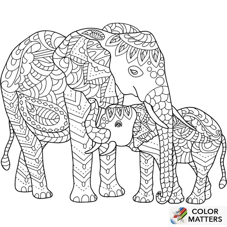 508 Best Coloring Elephant Images On Adult Coloring 736x736 508 Best Coloring Elephant Images On Adult Coloring