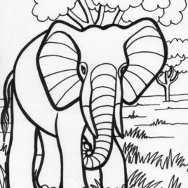 268x268 Elephant Color Page Give The Best Coloring Pages
