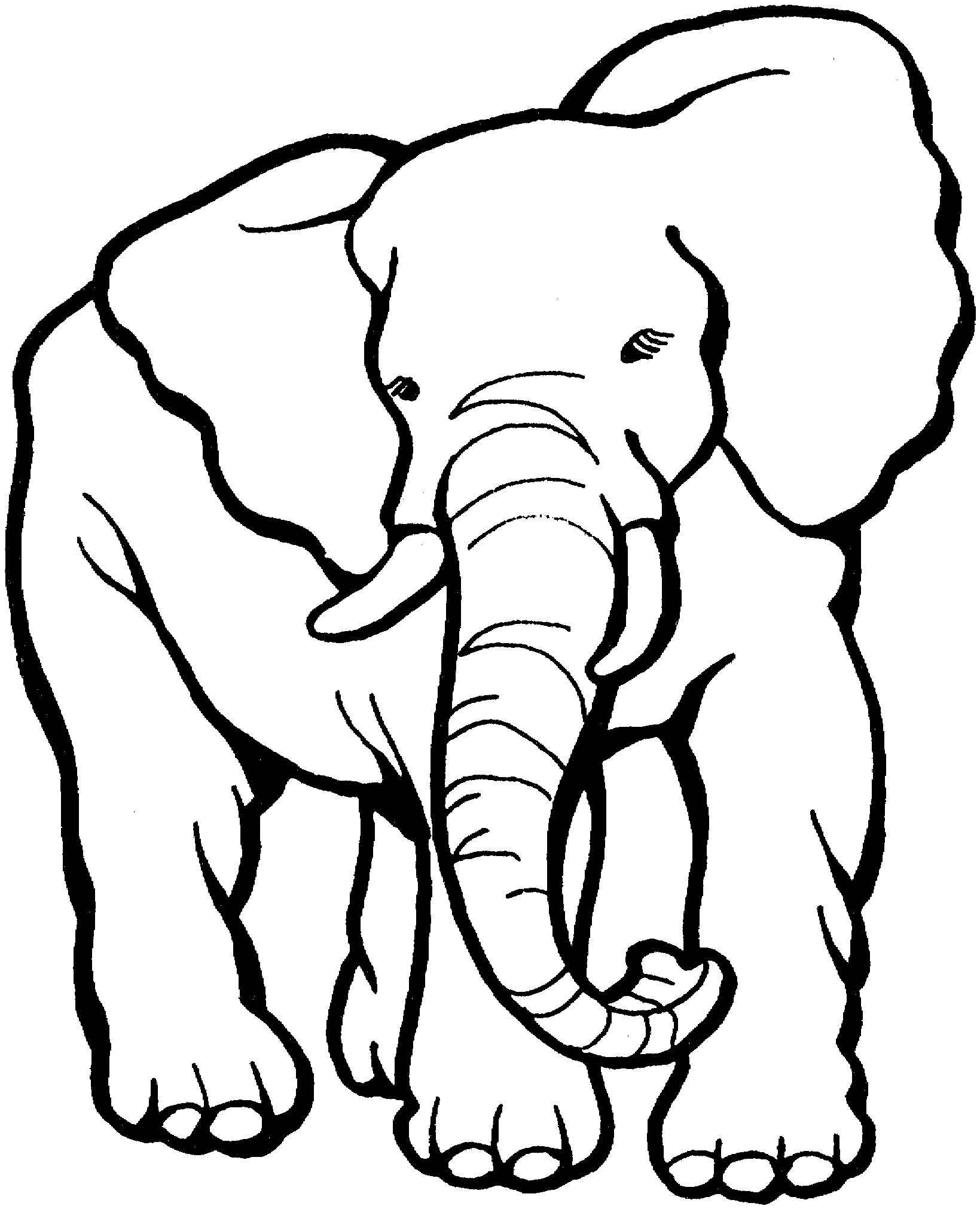 1639x2021 Free Printable Elephant Coloring Pages For Adults New