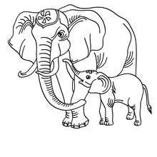 220x220 Elephant Coloring Pages, Drawing For Kids, Reading Amp Learning