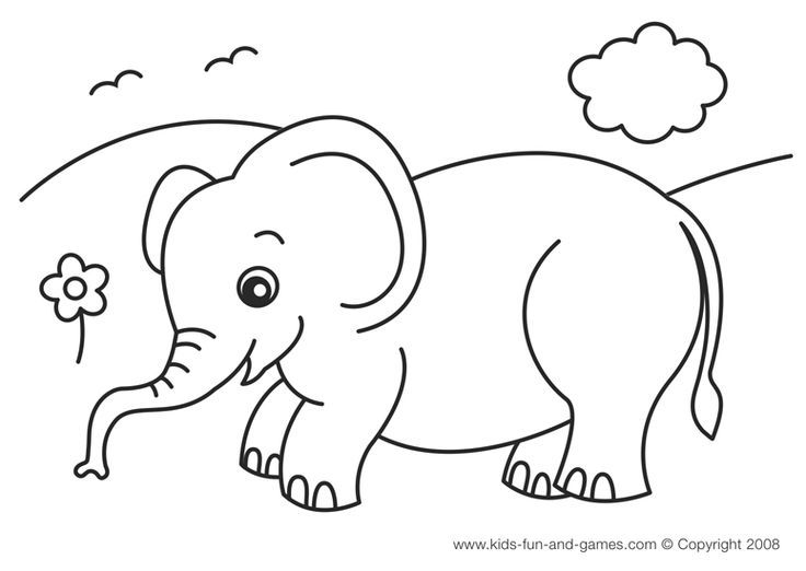 736x522 Elephant Coloring Pages