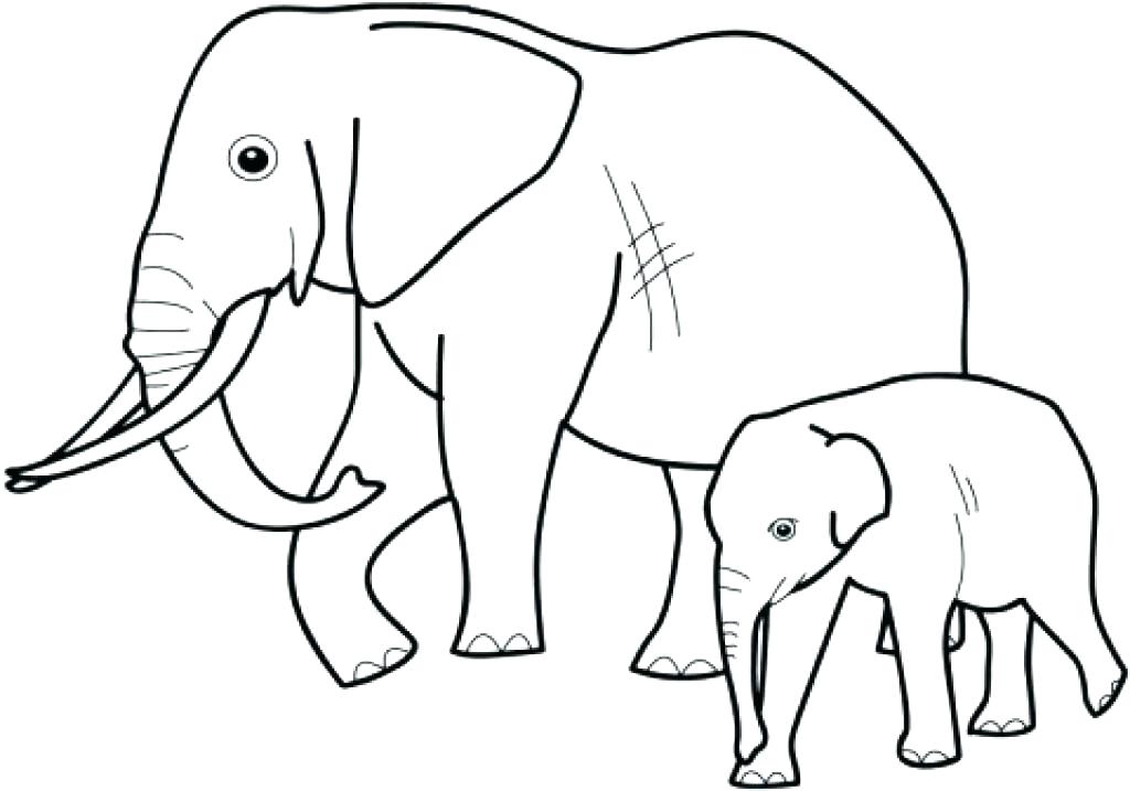 1024x717 Elephant Coloring Pages Coloring Page Elephant Coloring Page