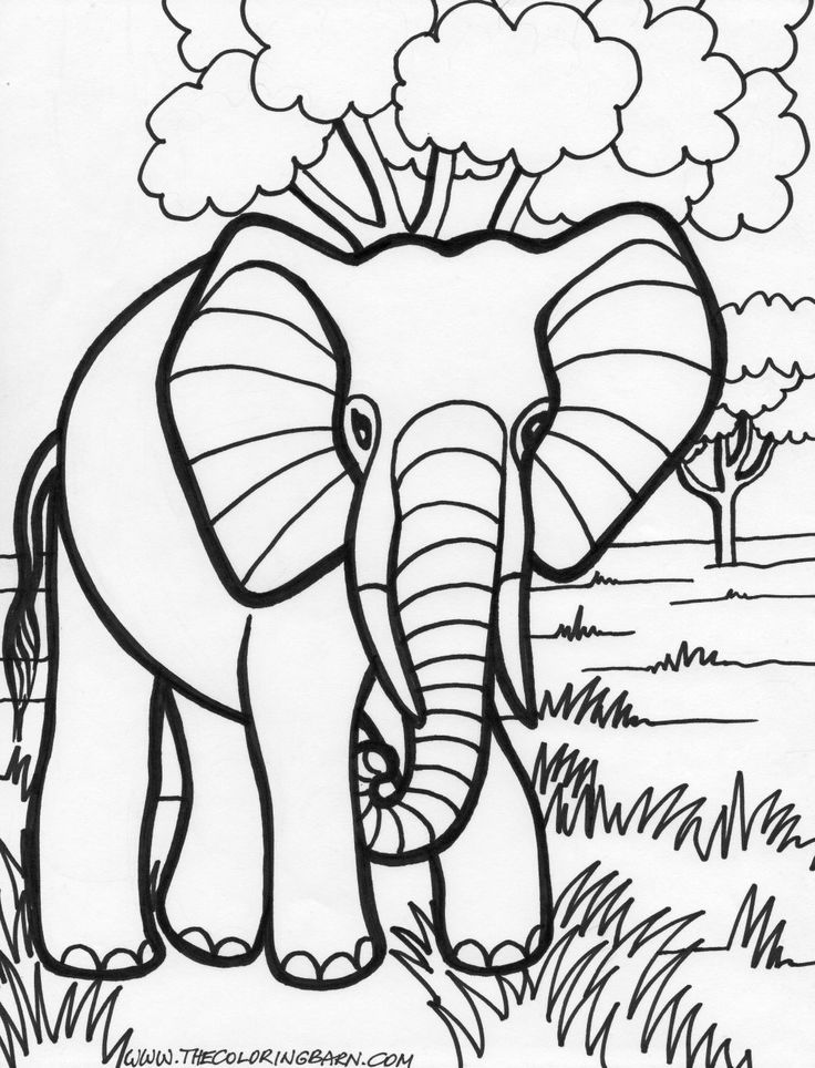 736x964 24 Best Y Blank Pattern Elephants Images On Coloring