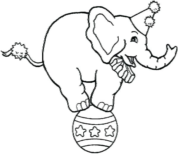 600x519 Elephants Coloring Pages Circus Elephants Coloring Pages Free