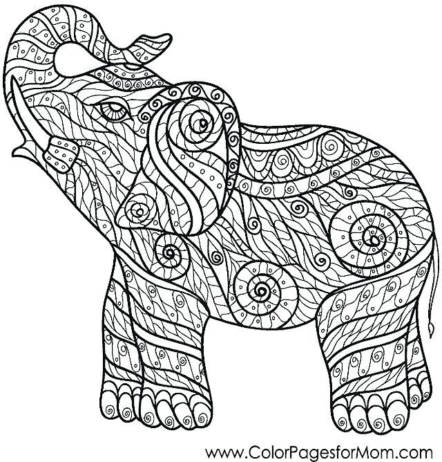 Elephant Coloring Pages For Kids at GetColorings.com | Free printable ...