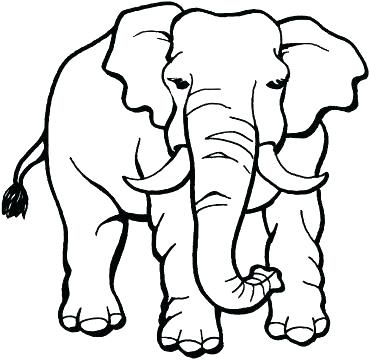 370x360 Coloring Pages Elephant Coloring Pages Of Elephants Elephant