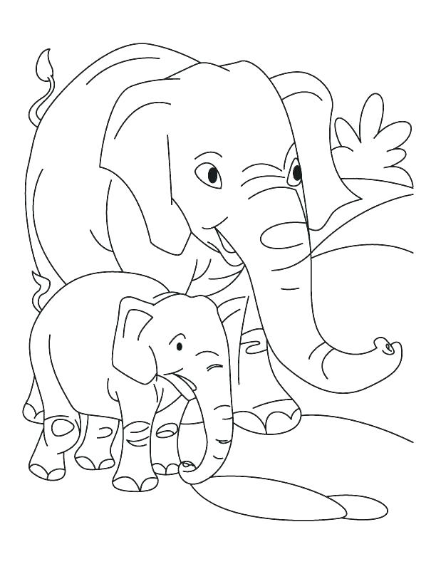 612x792 Elephant Color Pages Elephant Colouring Pages For Preschoolers