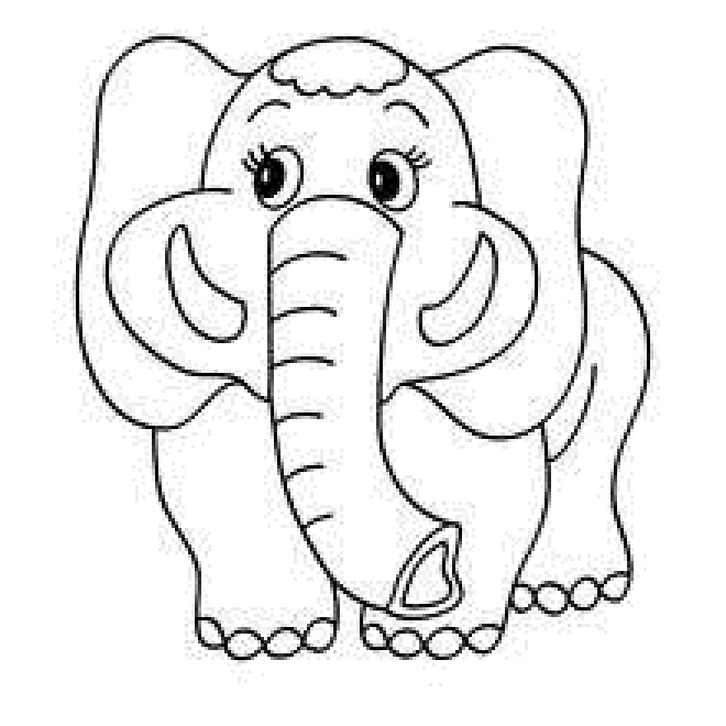 660x660 Elephant Coloring Pages For Kids