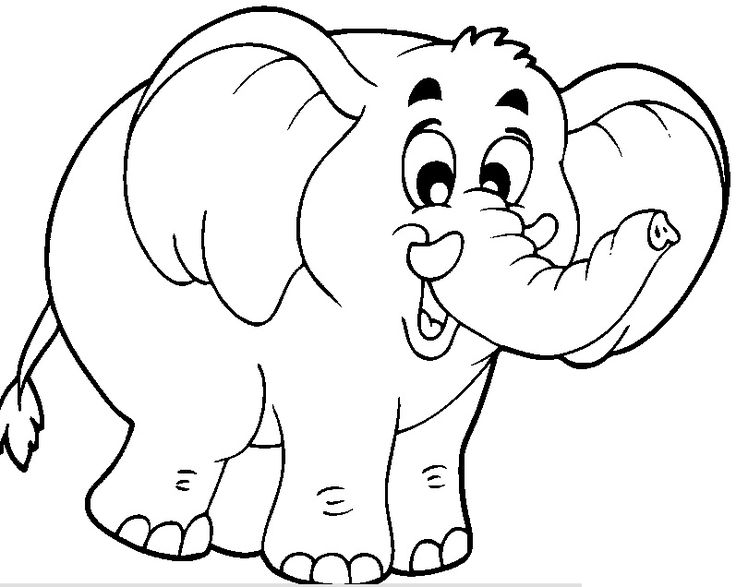 736x587 33 Best Elephant Coloring Pages Images On Colouring
