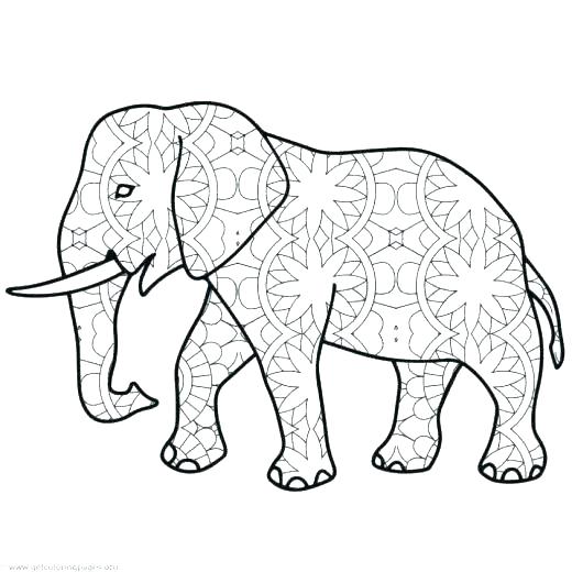 Best Y Blank Pattern Elephants Images On Coloring Printable 520x520 Best Y Blank Pattern Elephants Images On Coloring Printable