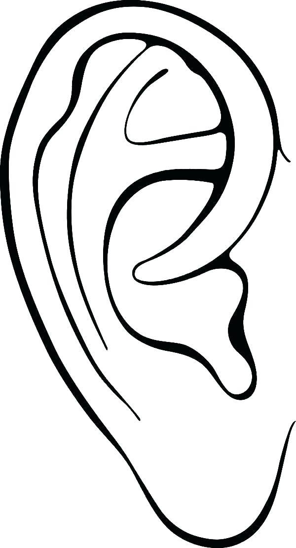 600x1109 Ear Coloring Page Corn Coloring Page Coloring Page Of Corn Ear