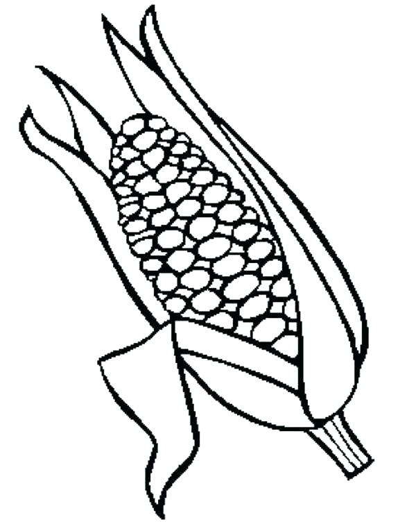 600x752 Coloring Picture Of Corn Ear Coloring Page Tasty Corn Ear Coloring