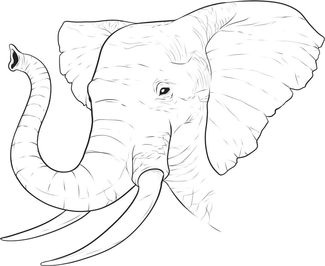 African Elephant Coloring Page 1109x911 African Elephant Coloring Page