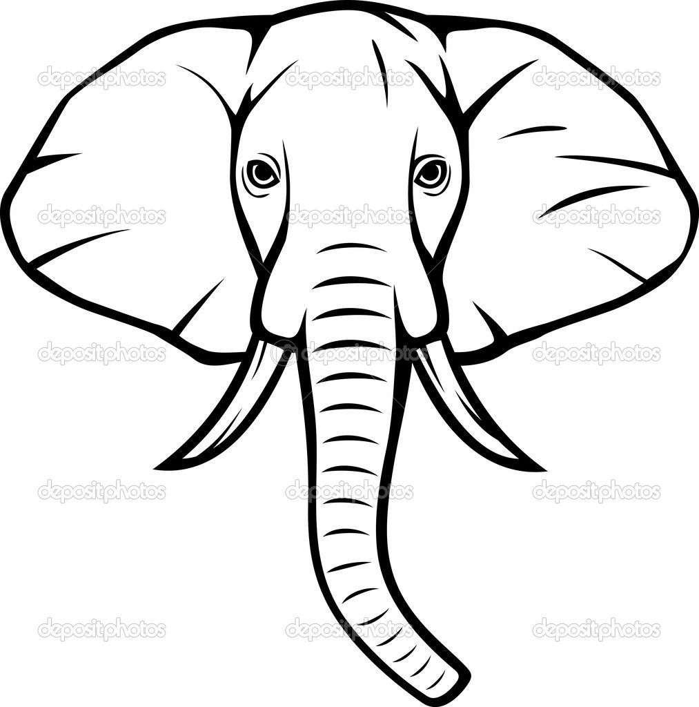 Pix For Gt Indian Elephant Head Drawings Clean Lines 1013x1024 Pix For Gt Indian Elephant Head Drawings Clean Lines