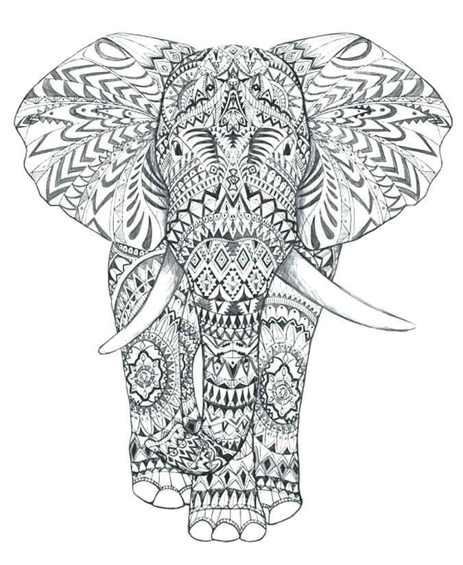 Coloring Pages Of Elephants For Adults Coloring Pages Elephant 675x825 Coloring Pages Of Elephants For Adults Coloring Pages Elephant