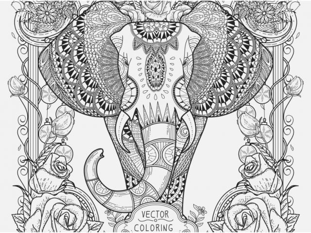 Elephant Mandala Coloring Pages Shoot Elephant With Patterns 640x480 Elephant Mandala Coloring Pages Shoot Elephant With Patterns