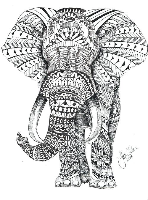 Adult Mandala Coloring Pages Elephant Elephant Coloring Pages Big 500x673 Adult Mandala Coloring Pages Elephant Elephant Coloring Pages Big