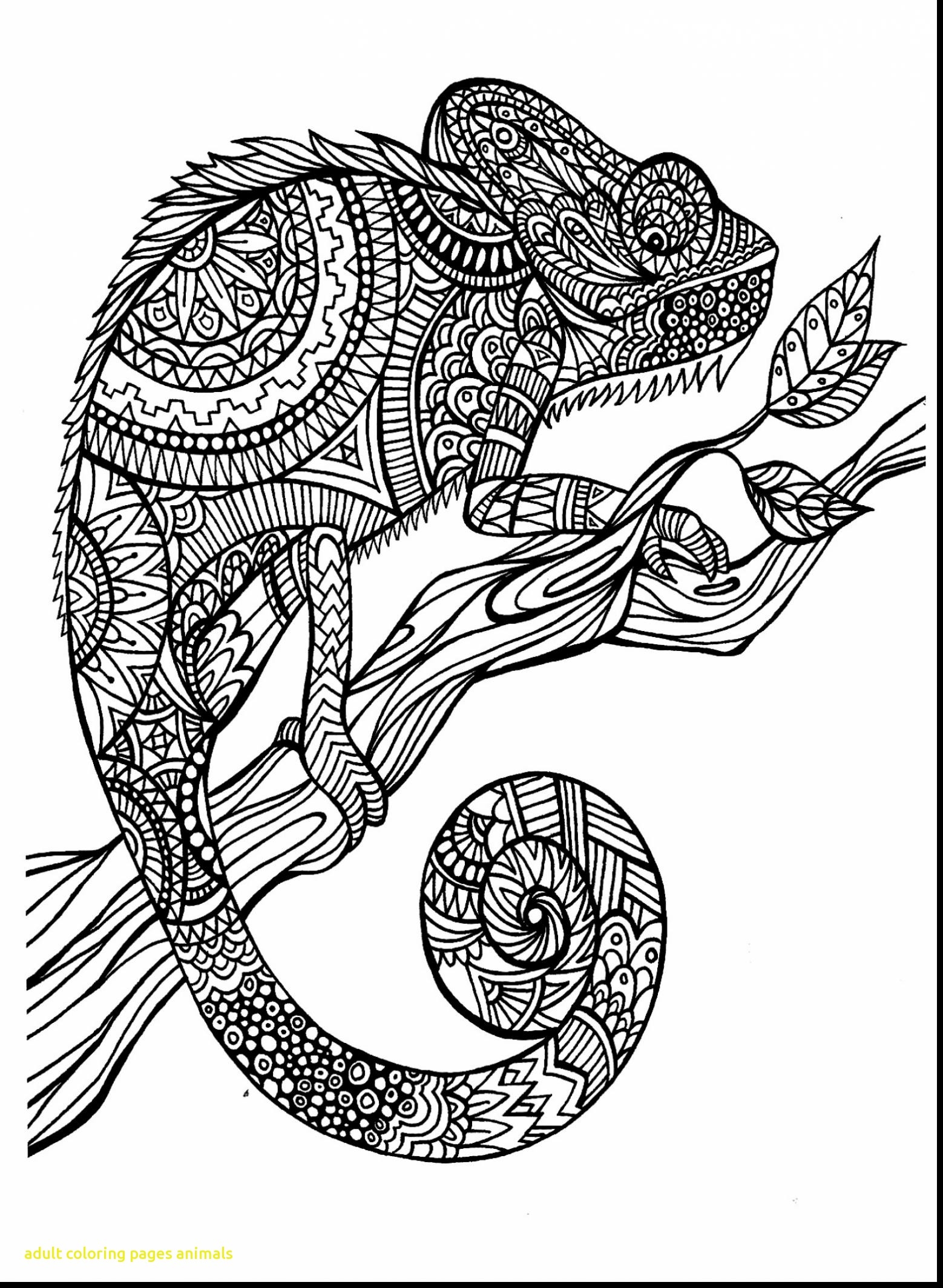 World Elephant Day Elephants Coloring Pages For Adults To Print 1558x2129 World Elephant Day Elephants Coloring Pages For Adults To Print