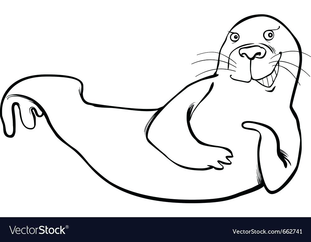 1000x780 Seal Coloring Page Elephant Seal Coloring Pages Volet Roulant.site