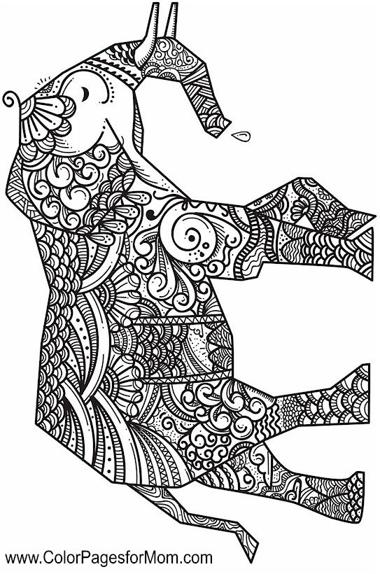 543x820 324 Best Colouring~elephants~zentangles Images