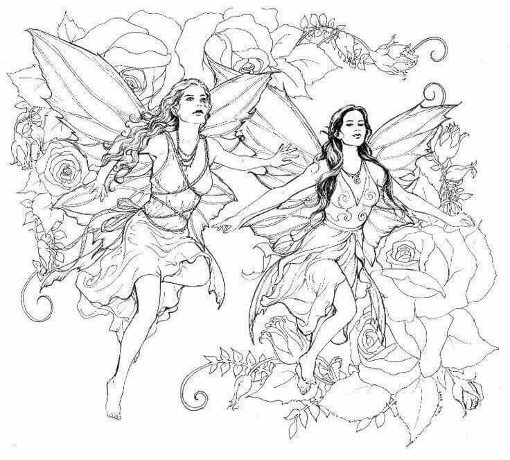 387 Best Fairies Coloring Images On Coloring Books 736x663 387 Best Fairies Coloring Images On Coloring Books