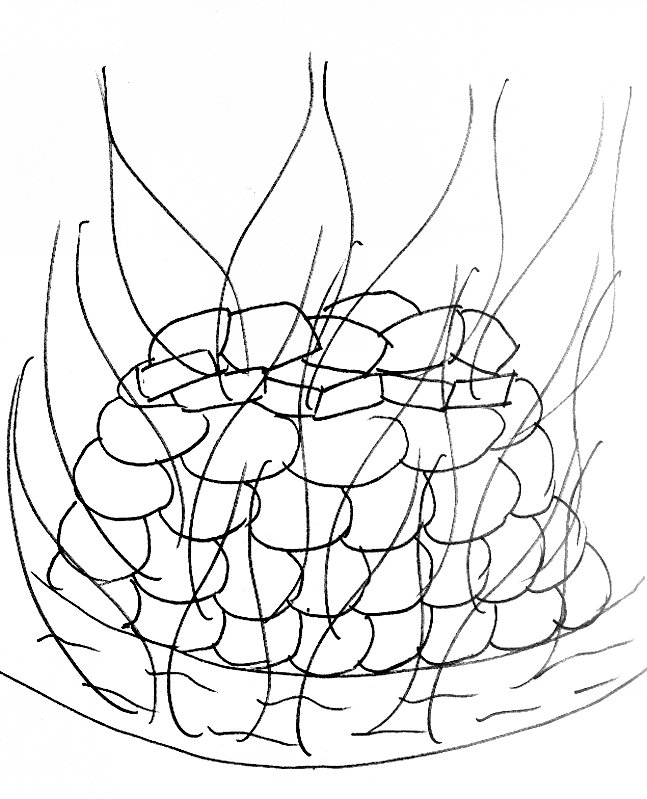 647x799 Bible Story Coloring Page For Elijah And The Prophets Of Baal