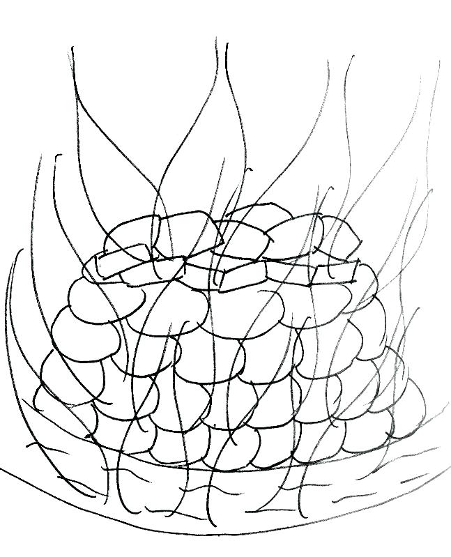 647x799 Elijah Coloring Page Coloring Pages Bible Story Coloring Page