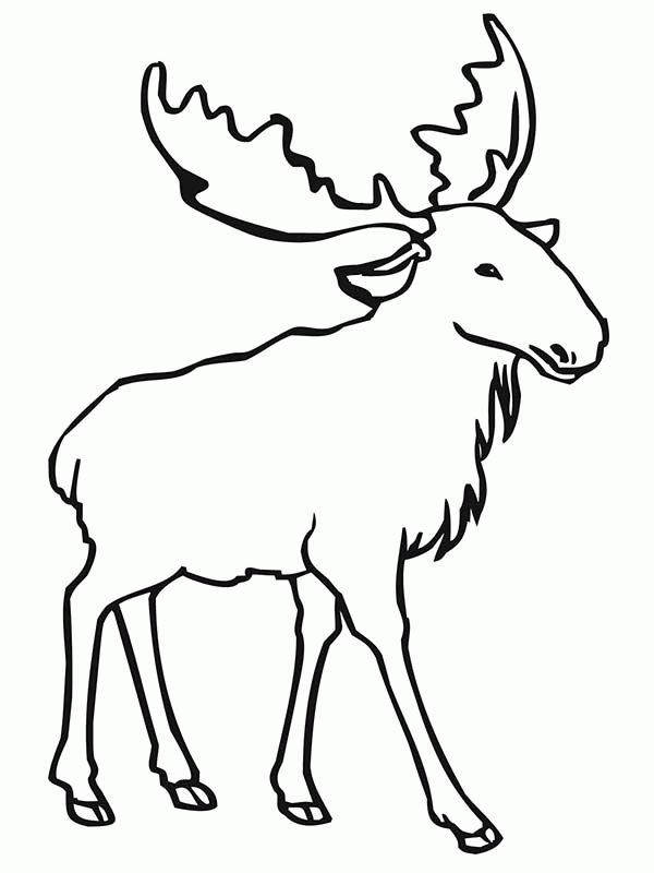 600x800 25 Elk Coloring Pages Selection Free Coloring Pages