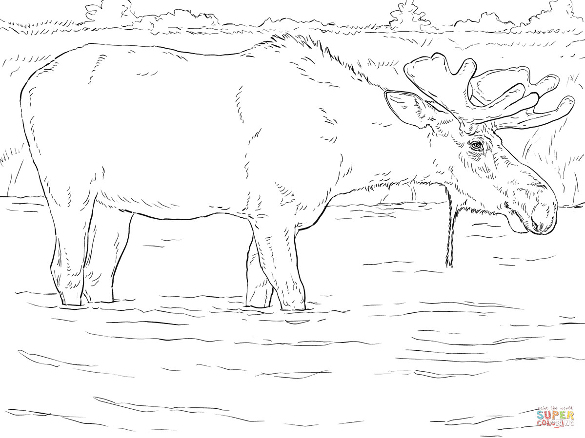 1199x899 Coloring Pages Of Elk