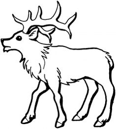236x261 Elk Coloring Page Elk, Woodburning And Adult Coloring