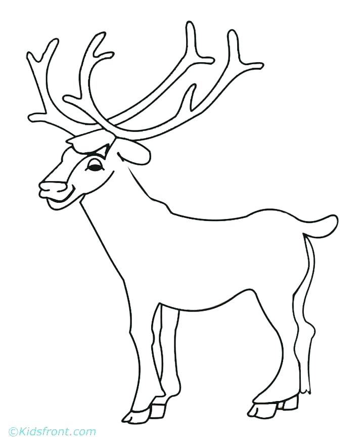 720x880 Elk Coloring Page Bull Elk Coloring Pages Deer And Elk Coloring