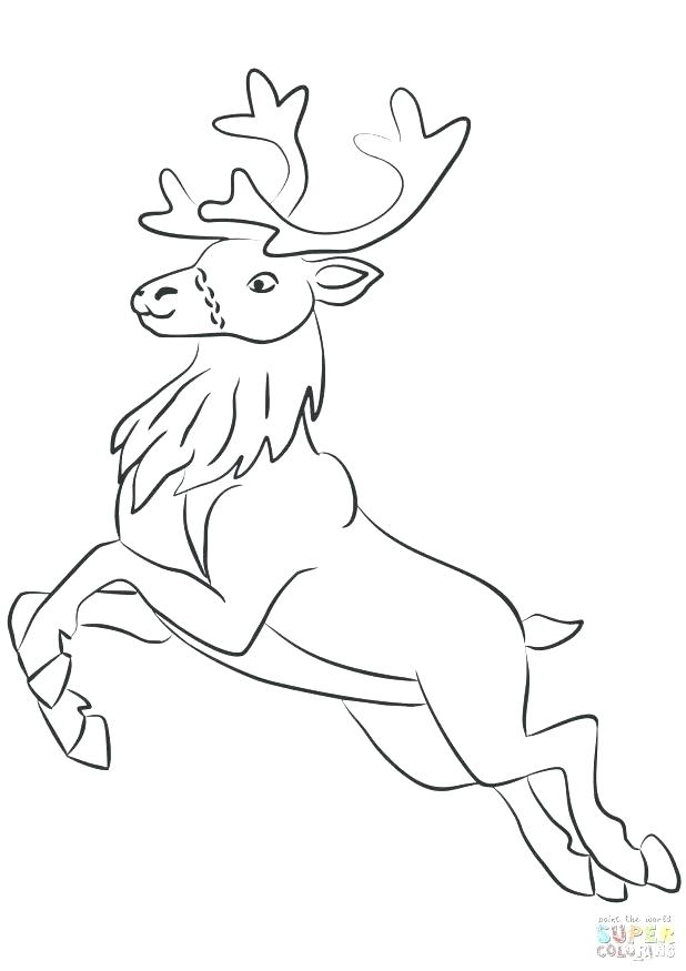 618x875 Elk Coloring Page Elk Coloring Page Coloring Pages Of Deer Elk