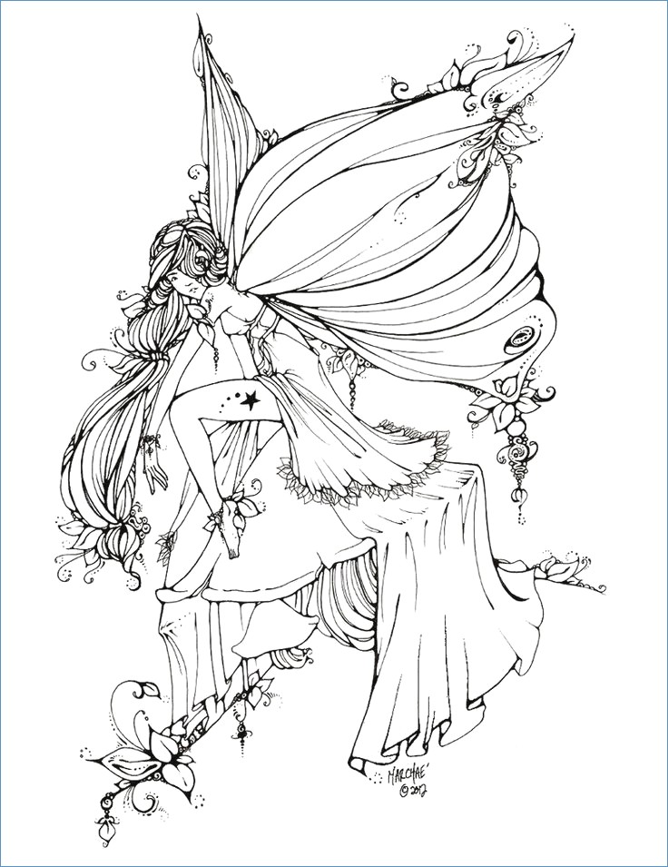 Tinkerbell Coloring Pages Images 736x955 Tinkerbell Coloring Pages Images