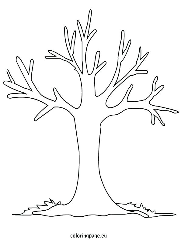 595x804 Tree Coloring Pages Coloring Pages Trees Printable Tree Coloring