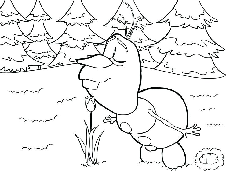Frozen Fever Elsa Coloring Pages 740x562 Frozen Fever Elsa Coloring Pages
