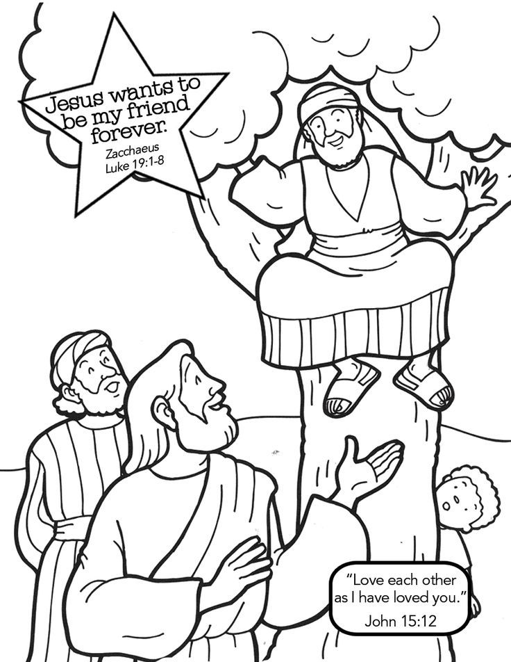 Zacchaeus Coloring Page 5 736x952 Zacchaeus Coloring Page 5