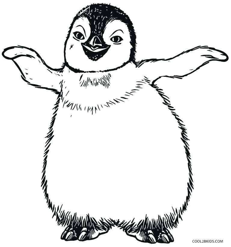 Emperor Penguin Coloring Page