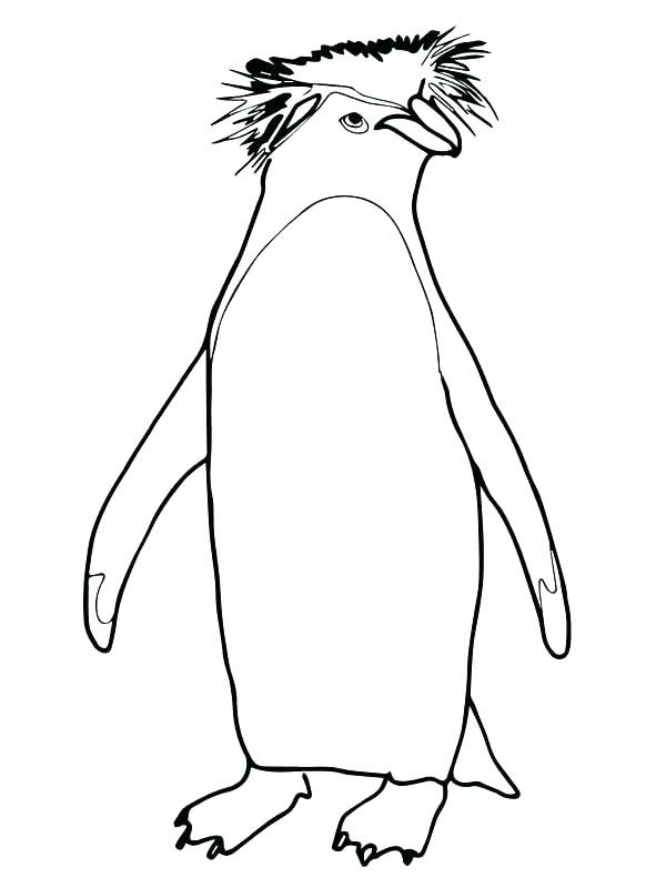 600x800 Emperor Penguin Coloring Page Emperor Penguin Coloring Page