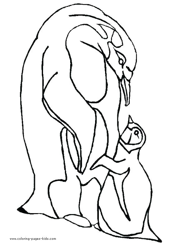 590x786 Emperor Penguin Coloring Page Picture Of Penguin To Color Emperor