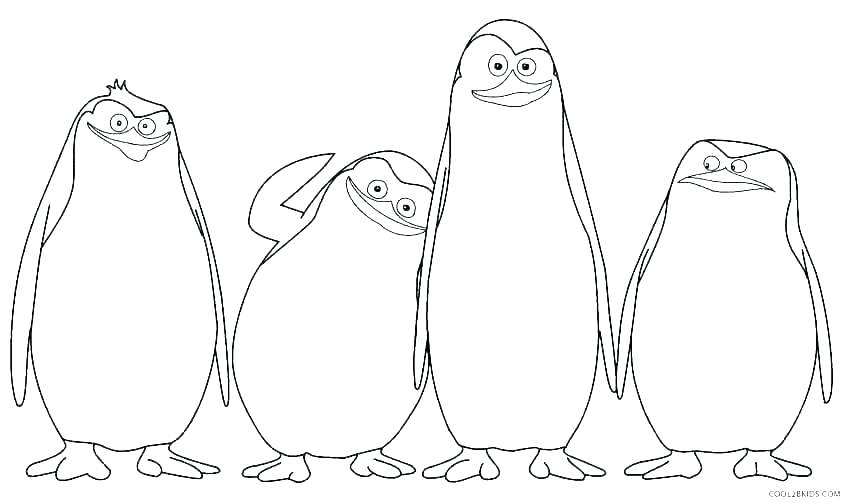 850x504 Penguin Adult Coloring Pages Penguin Adult Coloring Pages Coloring