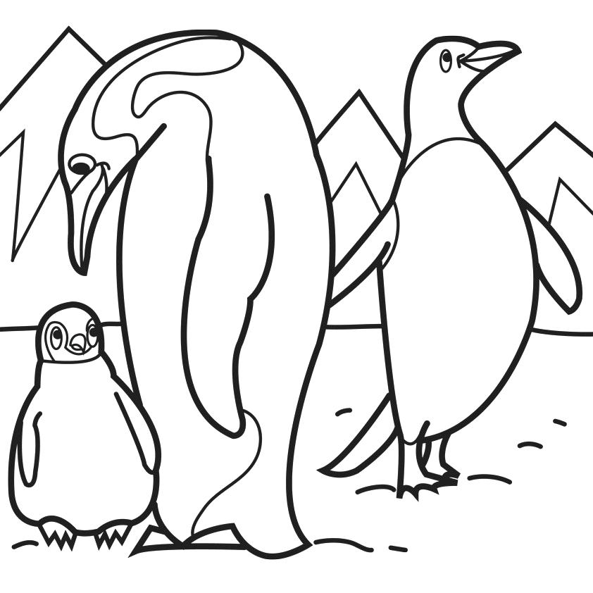 842x842 Penguin Printable Coloring Pages Penguin Coloring Book Pages Many