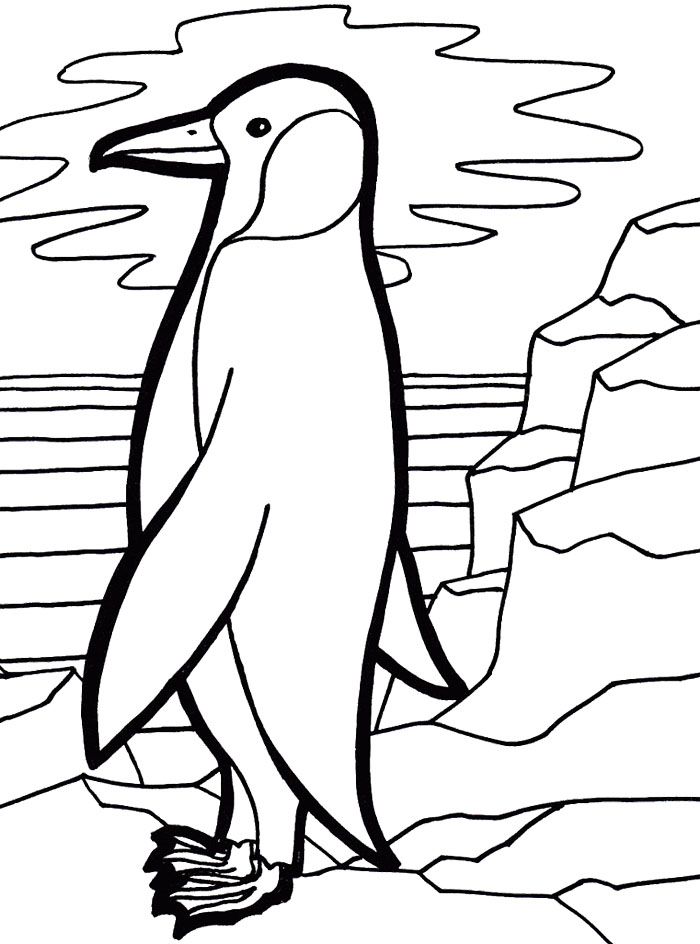 700x944 Cute Emperor Penguin Coloring Page For My Babies