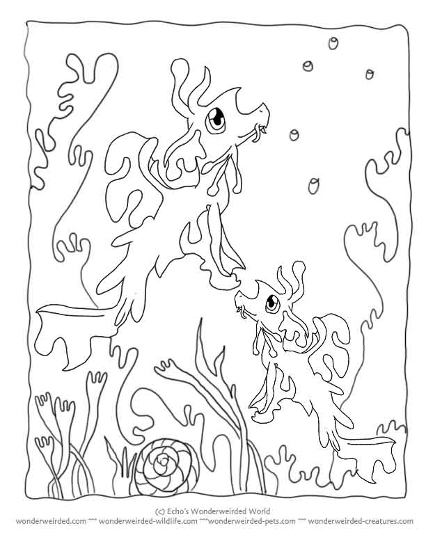 Empoleon Coloring Page 481243 612x792 Empoleon Coloring Page 481243