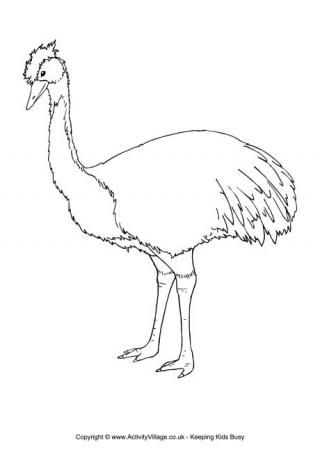 Emu Colouring Page Christmas Aussie Emu 320x452 Emu Colouring Page Christmas Aussie Emu