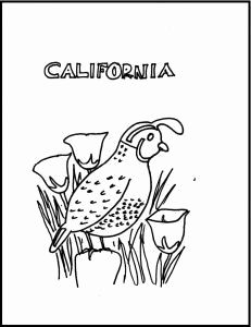Adult Coloring Page Koala Printable Colouring Page Zentangle Emu 231x300 Adult Coloring Page Koala Printable Colouring Page Zentangle Emu