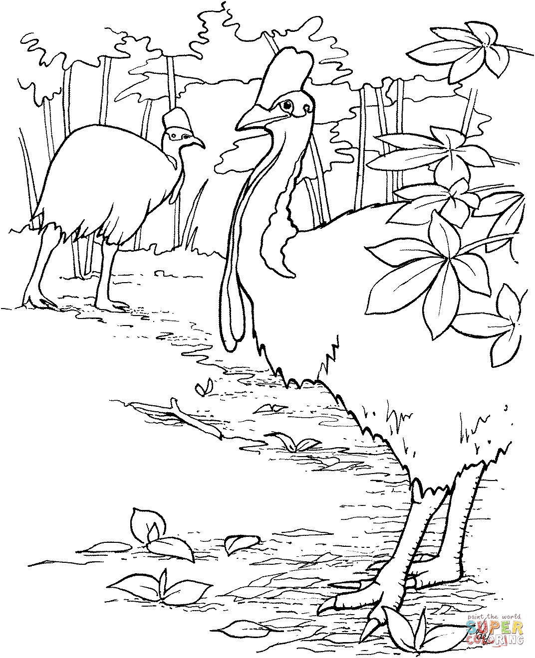 Best Of Cassowary Coloring Page Collection Printable Coloring Sheet 1072x1320 Best Of Cassowary Coloring Page Collection Printable Coloring Sheet