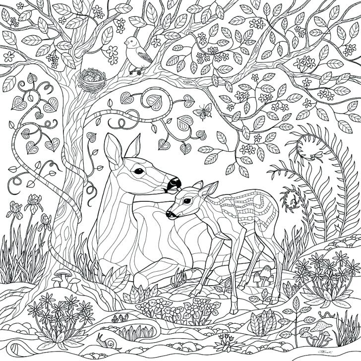 Enchanted Coloring Pages Enchanted Coloring Pages Enchanted Forest 728x728 Enchanted Coloring Pages Enchanted Coloring Pages Enchanted Forest