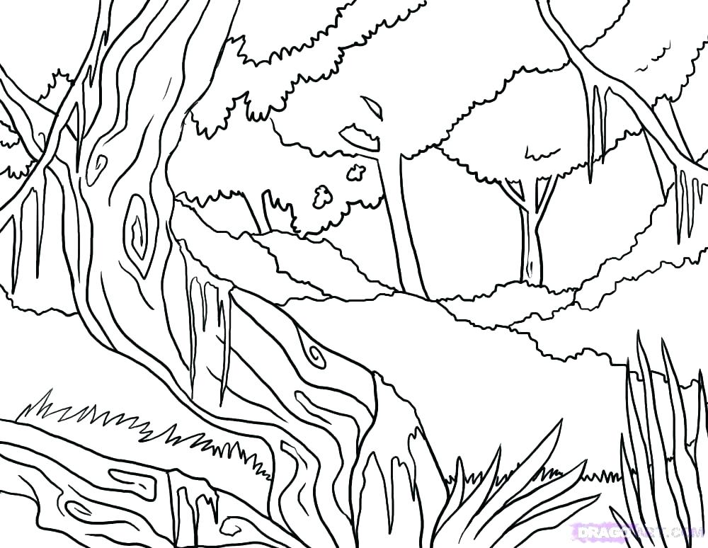 Forest Coloring Page Forest Coloring Page Rain Forest Coloring 1000x774 Forest Coloring Page Forest Coloring Page Rain Forest Coloring